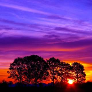 Beautiful sunset wallpaper