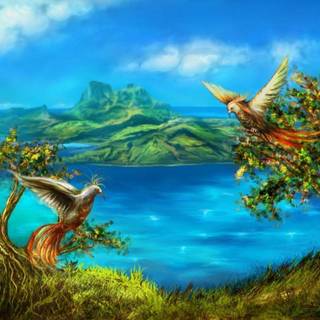 Nature photos wallpaper