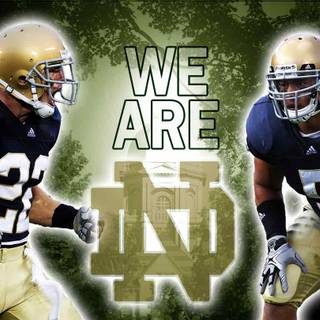 Notre Dame wallpaper