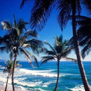 Awesome 1080p wallpaper