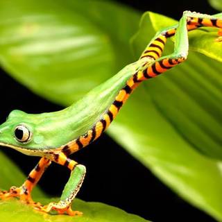 HD backgrounds for laptops