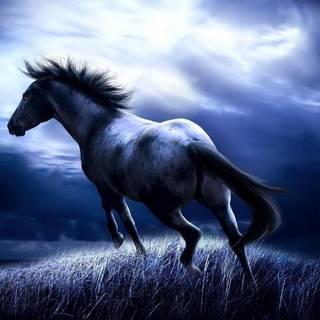 Horse wallpaper free