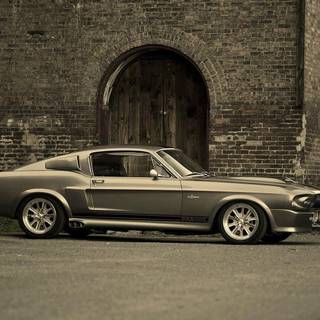 1967 Shelby GT500 wallpaper