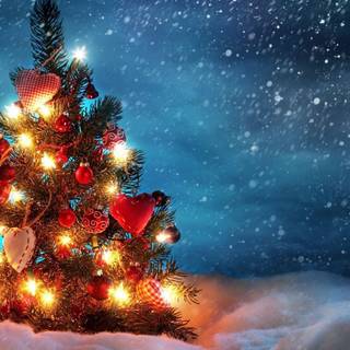 Christmas tree backgrounds