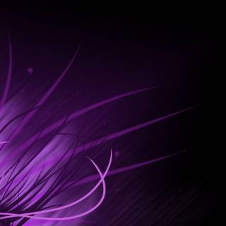 Nice purple wallpaper