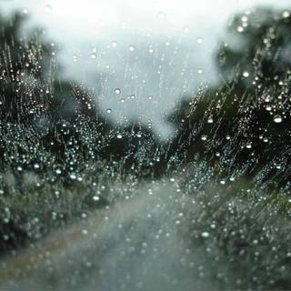 Worst wallpaper ever