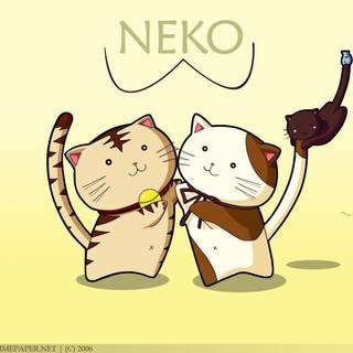 Neko wallpaper