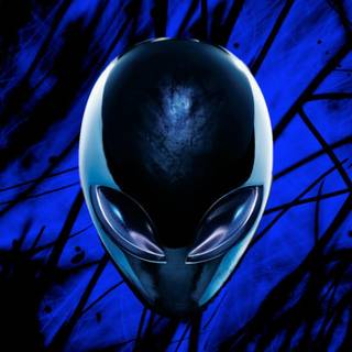 Alienware desktop wallpaper