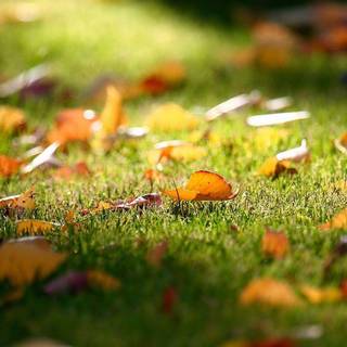 Full HD wallpaper 1920