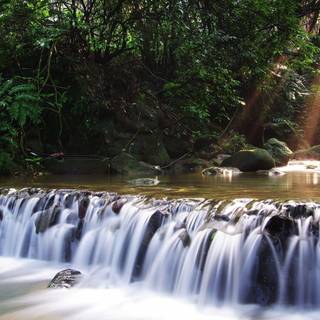 1920x1200 widescreen wallpaper