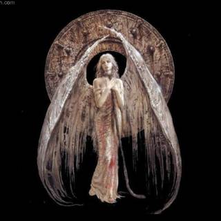 Free angel pictures to download