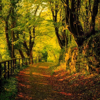 HD wide wallpaper 1080p