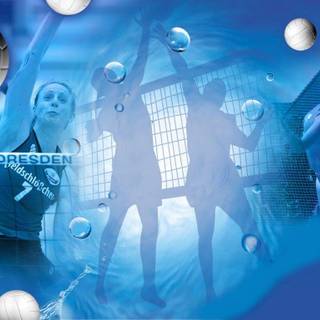 Volleyball wallpaper