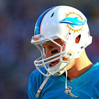 Miami Dolphin wallpaper