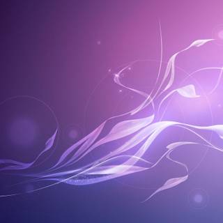 Purple abstract backgrounds