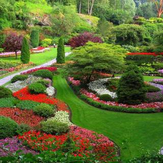 Garden images download