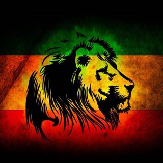 Rastafarian photos