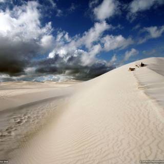 Sand dunes wallpaper