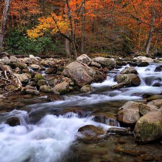 Fall colors desktop wallpaper