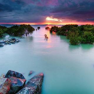 Wallpapers for computer desktop