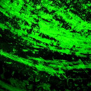 Neon green backgrounds