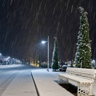 Winter night wallpaper