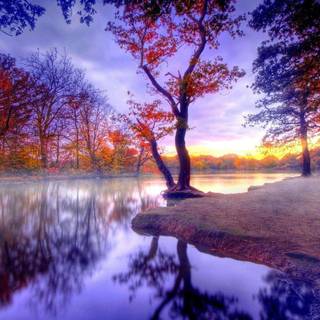 Beautiful fall wallpaper