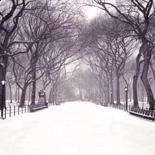 Central Park background