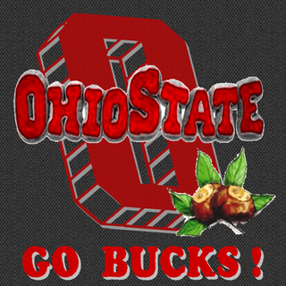 Ohio state buckeyes screensavers