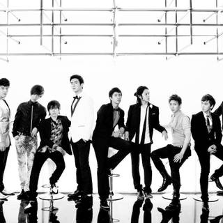 Super Junior wallpaper