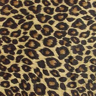 Cheetah background pictures