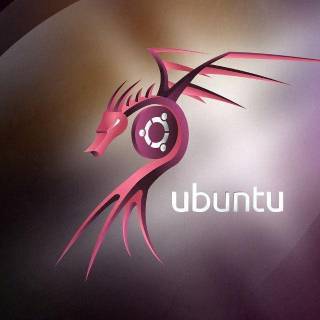 Ubuntu dragon wallpaper