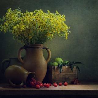 Still life backgrounds