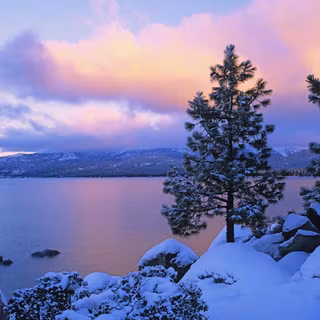 Wallpaper nature winter