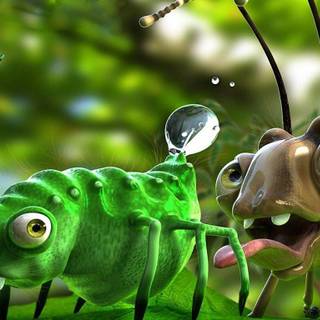 Wallpaper of funny pics