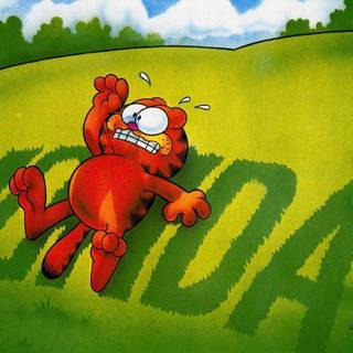 Funny Garfield wallpaper
