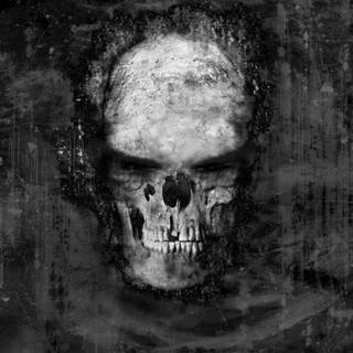 Cool skulls wallpaper