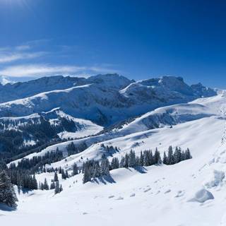 Free snowfall wallpaper