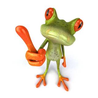 Funny frog wallpaper