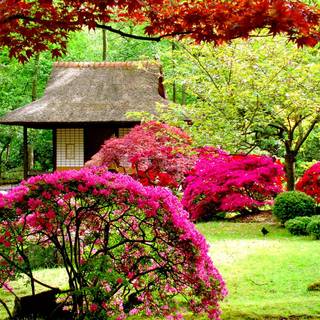Beautiful garden wallpaper