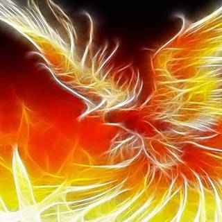 Phoenix bird wallpaper