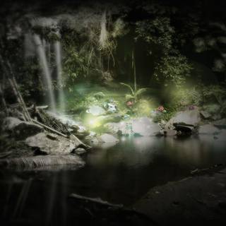 Enchanted forest backgrounds