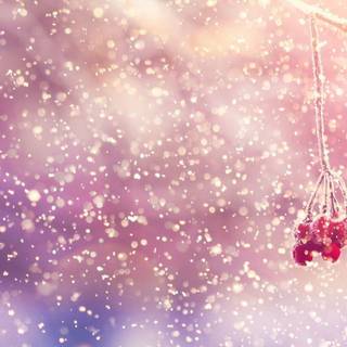 Winter snow wallpaper