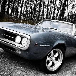 Pontiac Firebird wallpaper