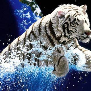 Tiger wallpaper free