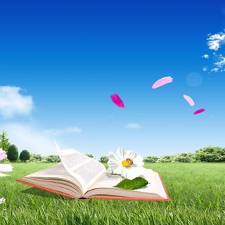 Images of desktop wallpaper