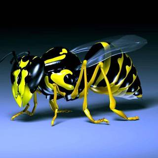 High Definition 3D wallpaper