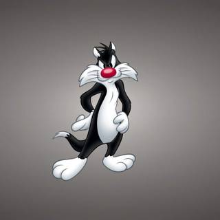 Sylvester cat wallpaper