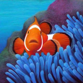 Clownfish wallpaper