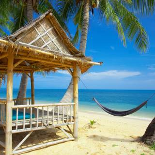 Free summer desktop backgrounds